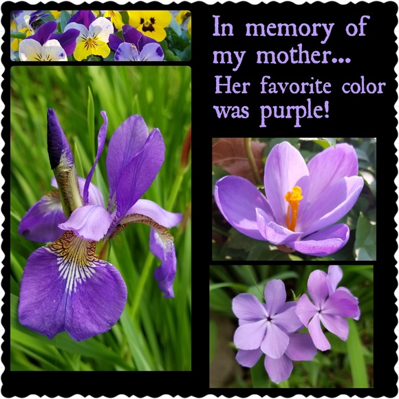 Meet Your Posher! - Picture 8 of 13